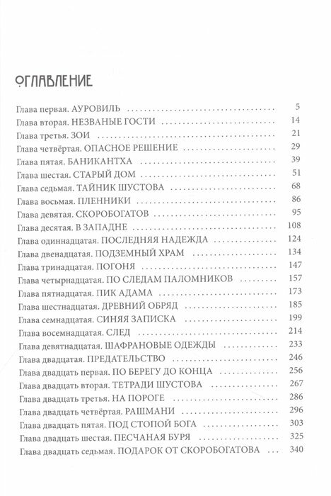 Город Солнца. Книга 2. Стопа бога - фото №5