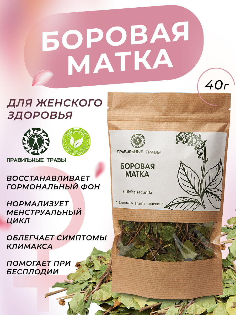 Боровая матка "Правильные травы" 40 г, травяной сбор для чая, природный фитоэстроген