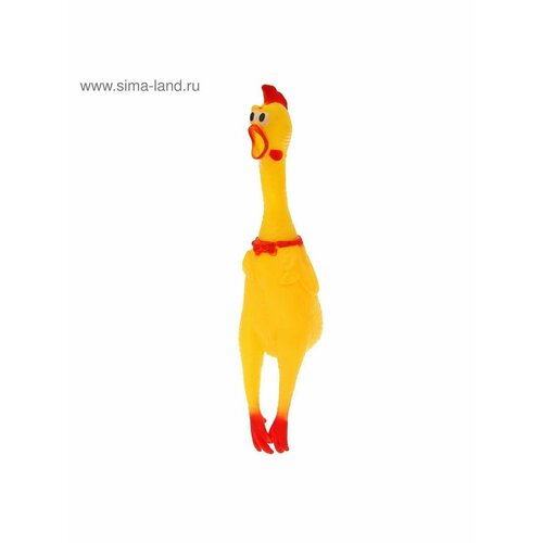 Курица кричит в сетке 612₽