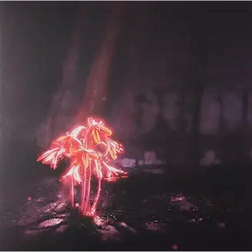 Виниловая пластинка Enter Shikari / A Kiss For The Whole World (Shrimp Pink, Limited) (1LP)