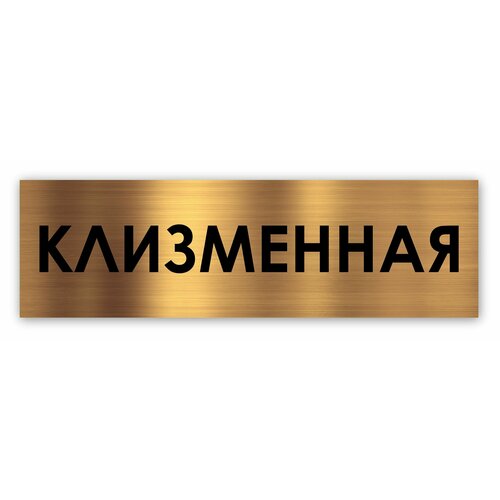 Клизменная табличка на дверь Standart 250*75*1,5 мм. Золото