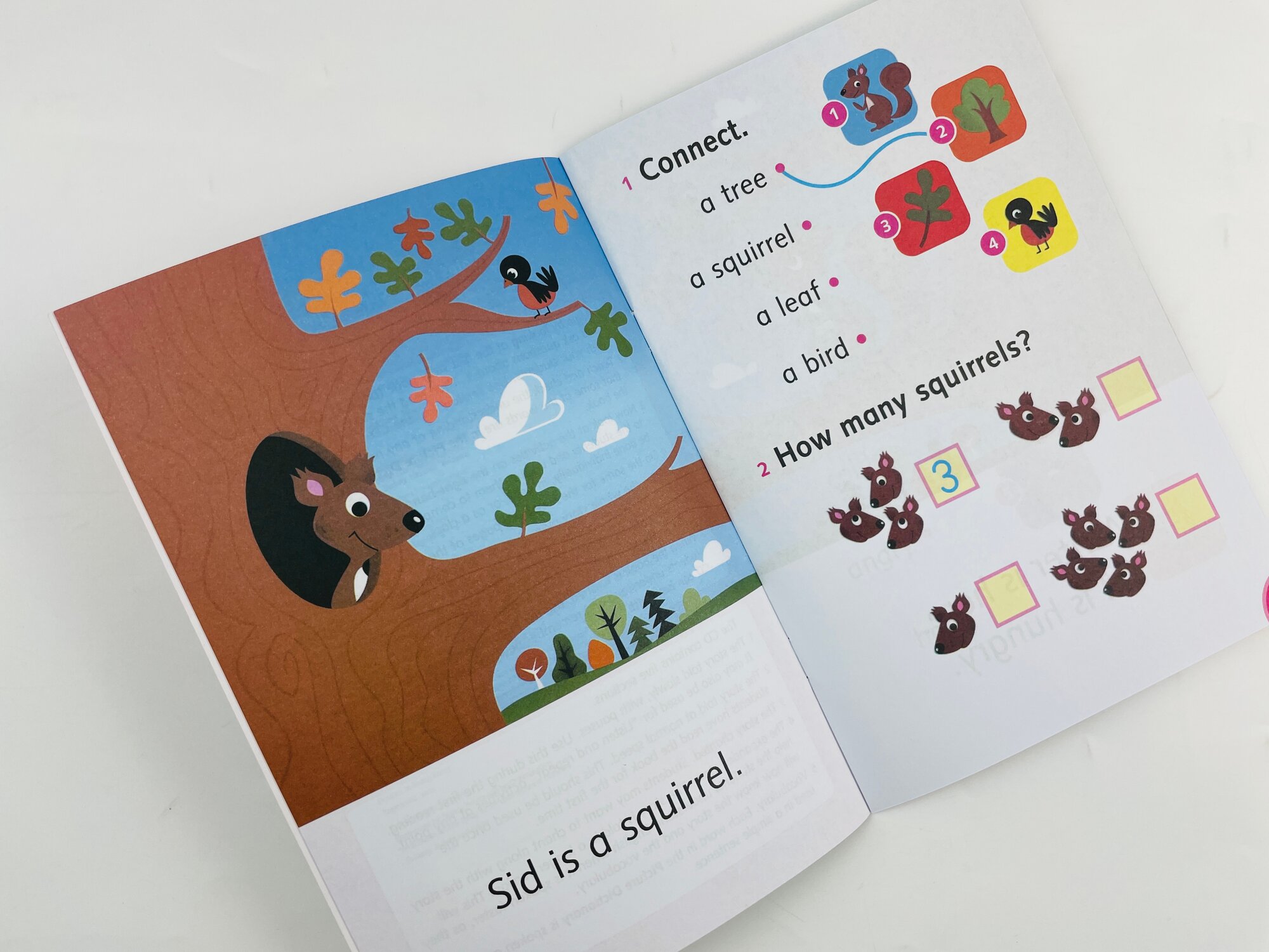 Книга Dolphin Readers Starter Silly Squirrel - фото №2