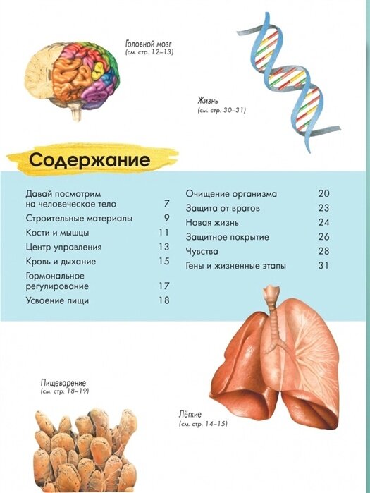 Тело человека (Энн МакРей) - фото №12
