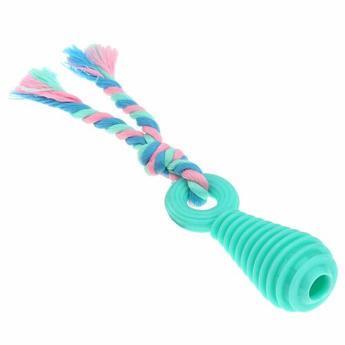 Игрушка для собаки Pet Toys 