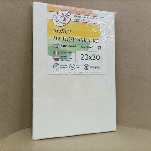 Холст грунтованный 2030 см на подрамнике итальянский хлопок 290гм2 Рисуй на кураже 711₽