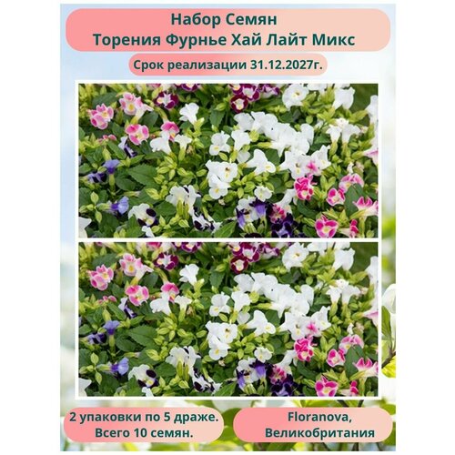 Торения Фурнье Хай Лайт Микс 2 упаковки по 5 драже, Floranova, Великобритания