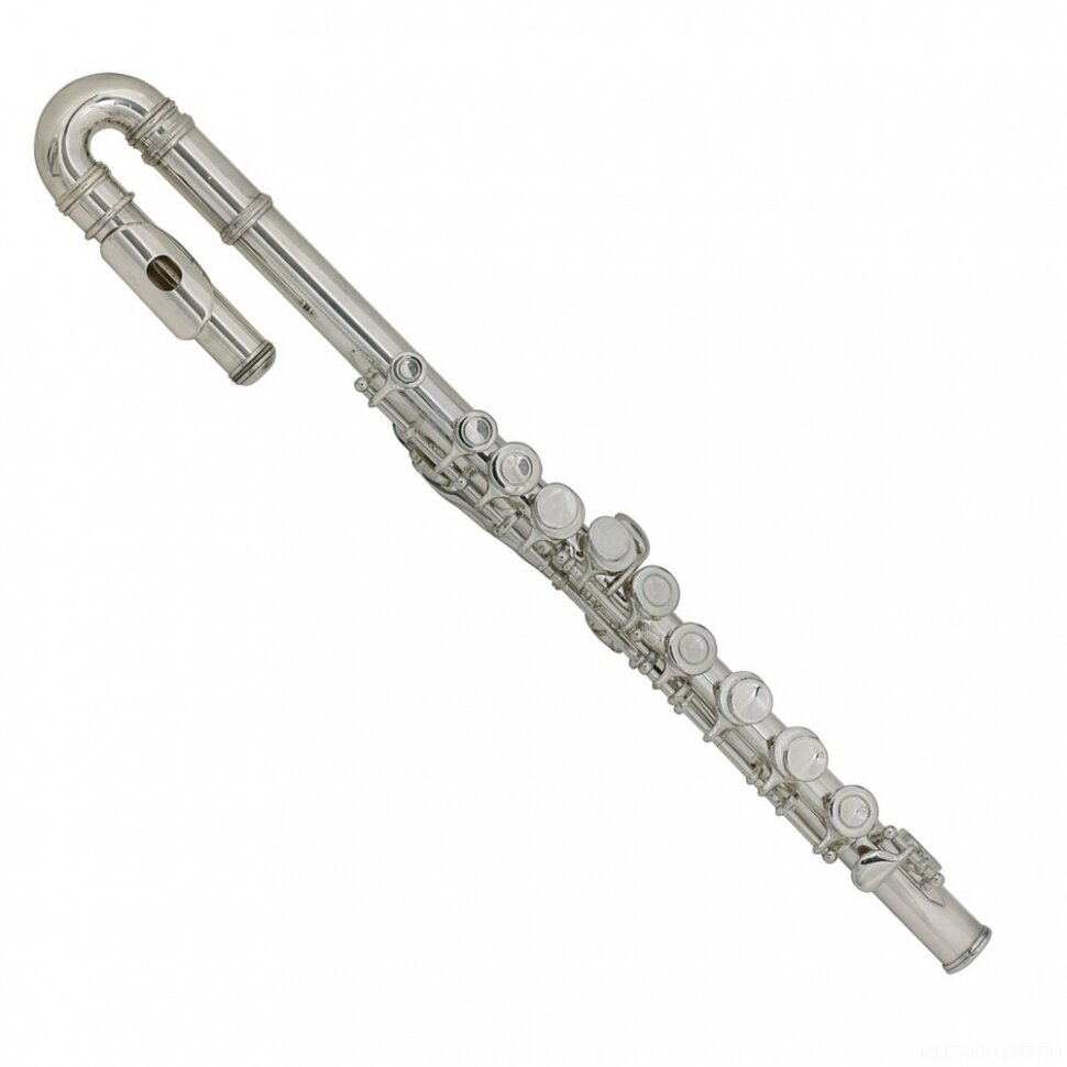 Флейта Roy Benson FL-102 — фото 1