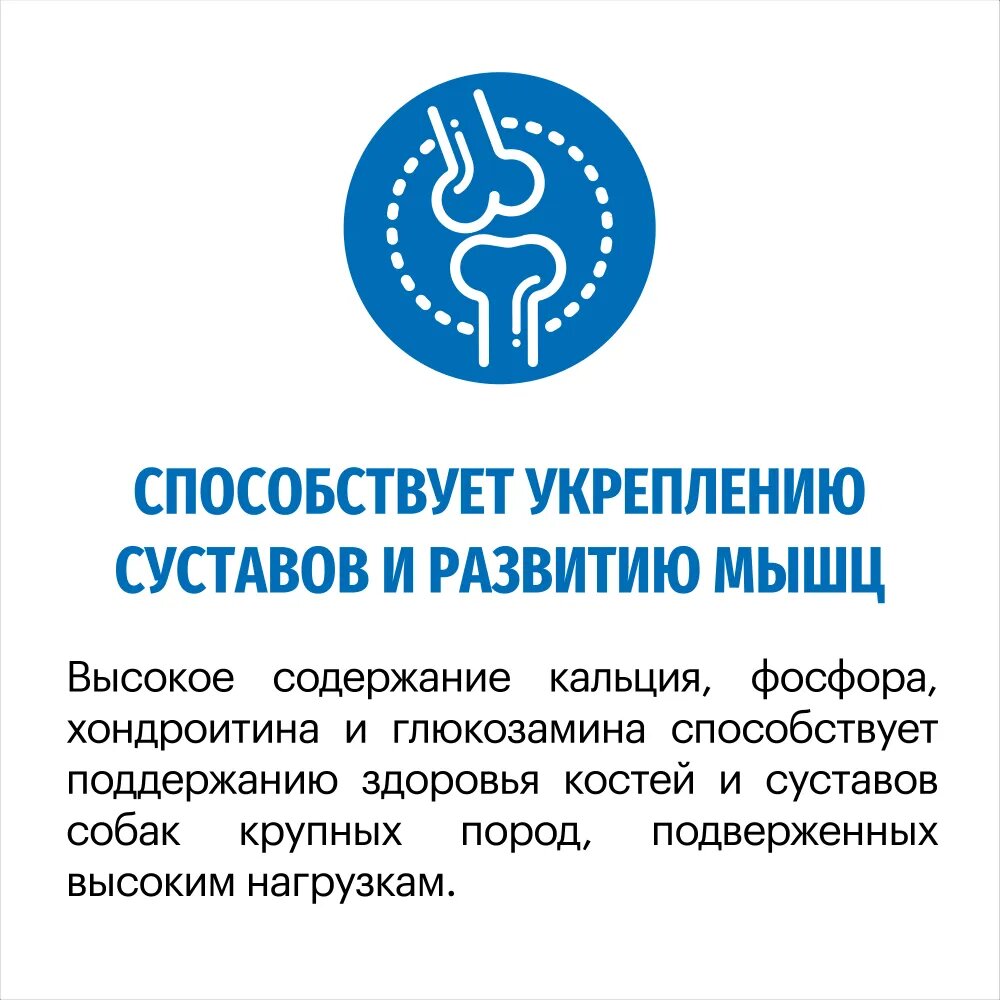Корм для собак сухой KARMY Maxi Adult для собак крупных пород, Телятина 14 кг. — фото 1