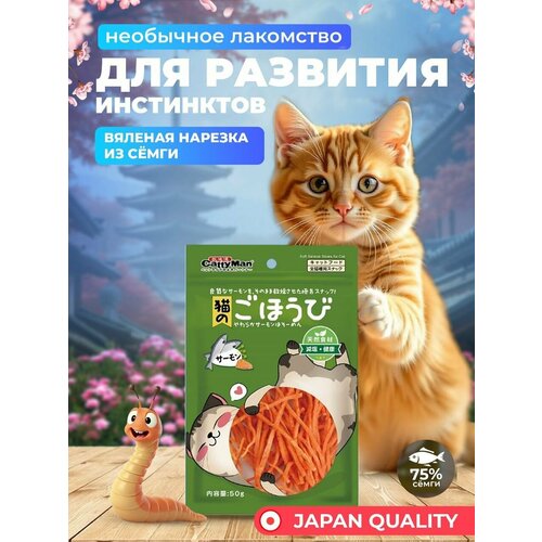Лакомство для кошек Japan Premium Pet Вяленая нарезка из сёмги, 50 г