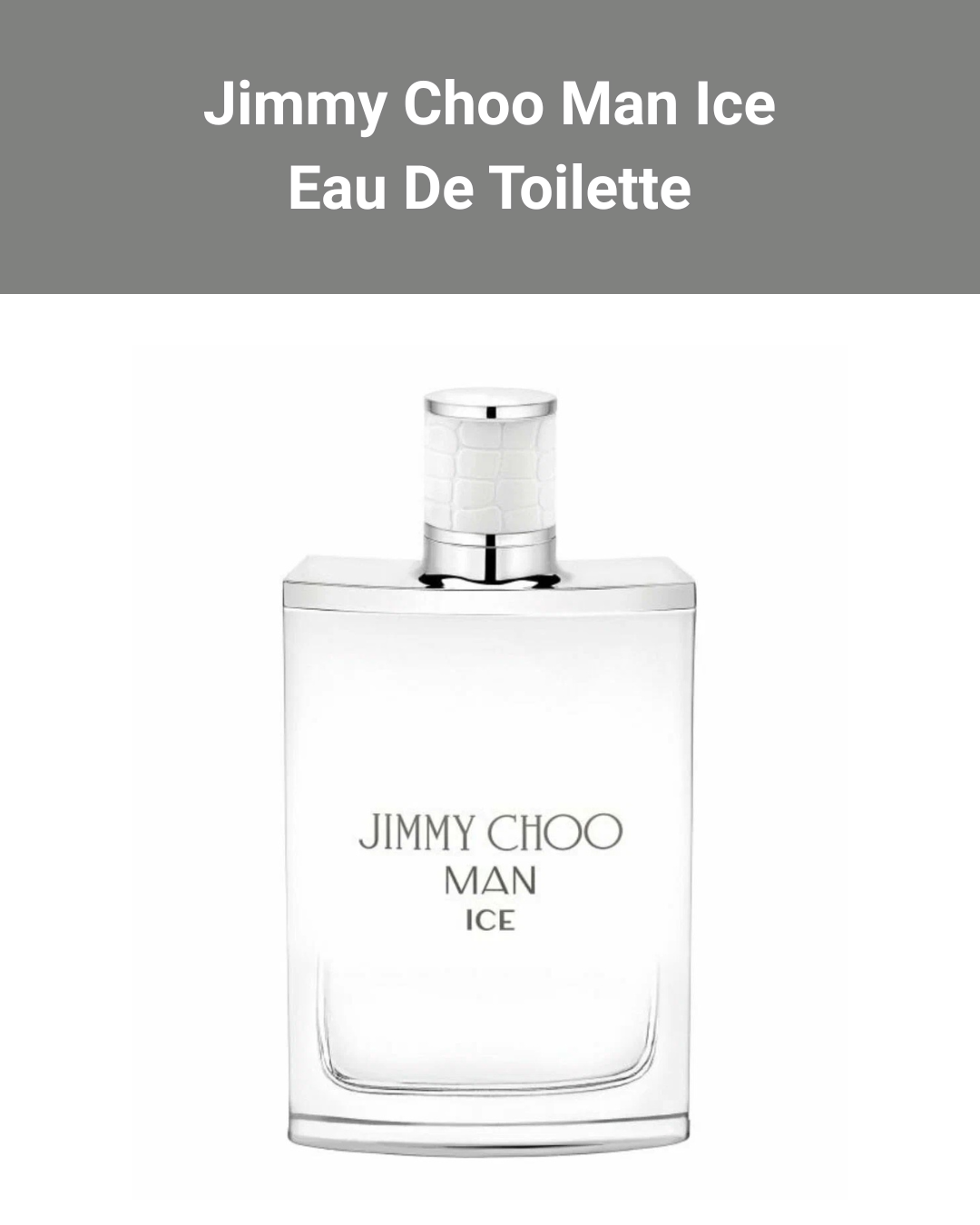 Jimmy Choo Man Ice Eau De Toilette 100мл - Парфюм для мужчин