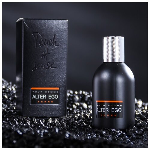 Туалетная вода мужская Alter Ego Terre, 100 мл