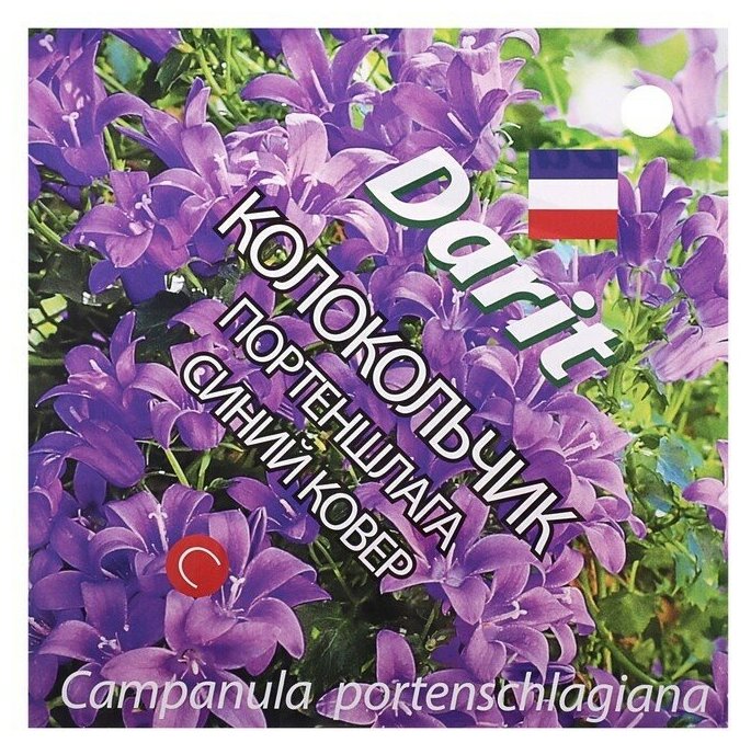Семена цветов Колокольчик 