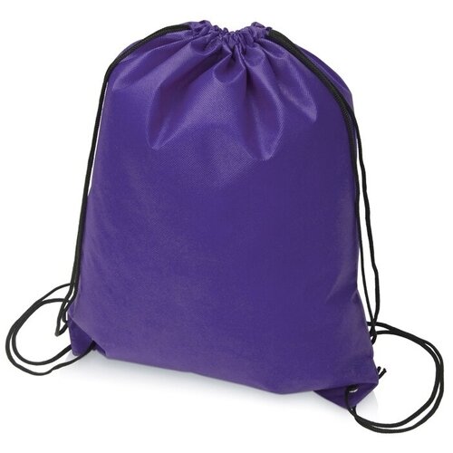 фото Рюкзак - мешок «пилигрим», фиолетовый oasis