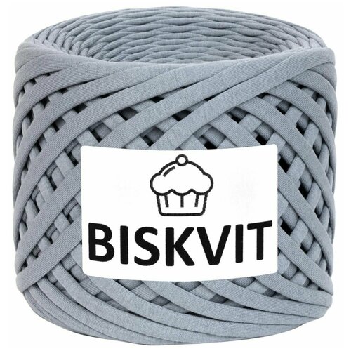 Трикотажная пряжа Biskvit цвет Грей, 100 м, лицевая, 7 мм, Бисквит ленточная