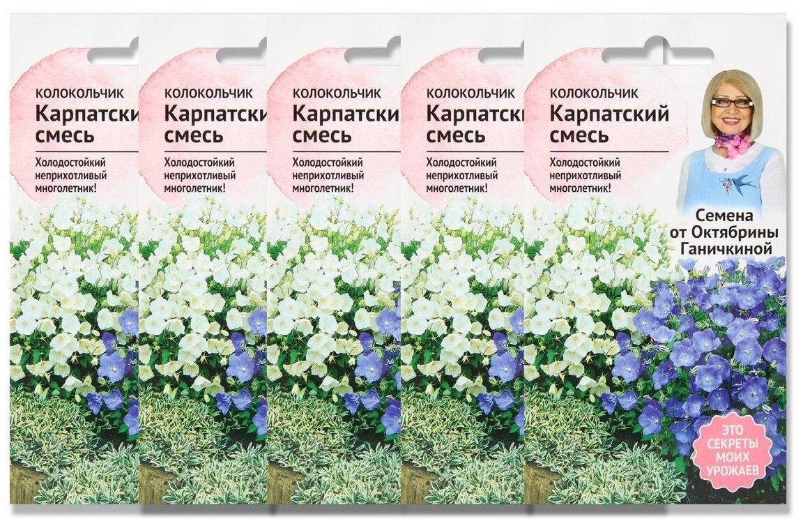 Набор семян Колокольчик карпатский смесь 0.1 г - 5 уп.