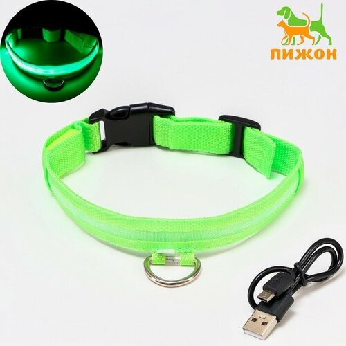 Ошейник с подсветкой, зарядка от USB, размер L, ОШ 41-52 см, 3 режима, зелёный