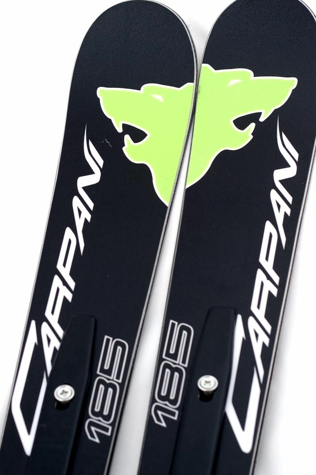 Горные лыжи марки СARPANI RC-Maestro Line-F2 175
