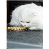 Фото #4 Лакомство Japan Premium Pet Mediball для облегчения принятия таблеток кошками на основе сыра