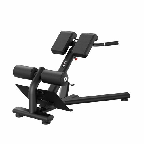 Гиперэкстензия (разгибание спины) Smith RE6010 тренажер smith fitness g20 гиперэкстензия