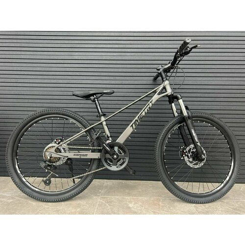 Велосипед Richiesto TT06921s 24 Рама магниевый сплав Горный для активного отдыха Спортивный Подростковый Детский серый 2415000₽