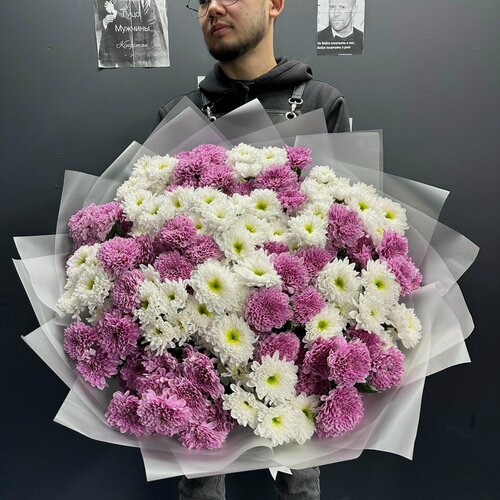 Изображение товара Хризантемы / Букет хризантем 29 шт / Букет Розовые и белые хризантемы микс / Букет живых цветов Москва
