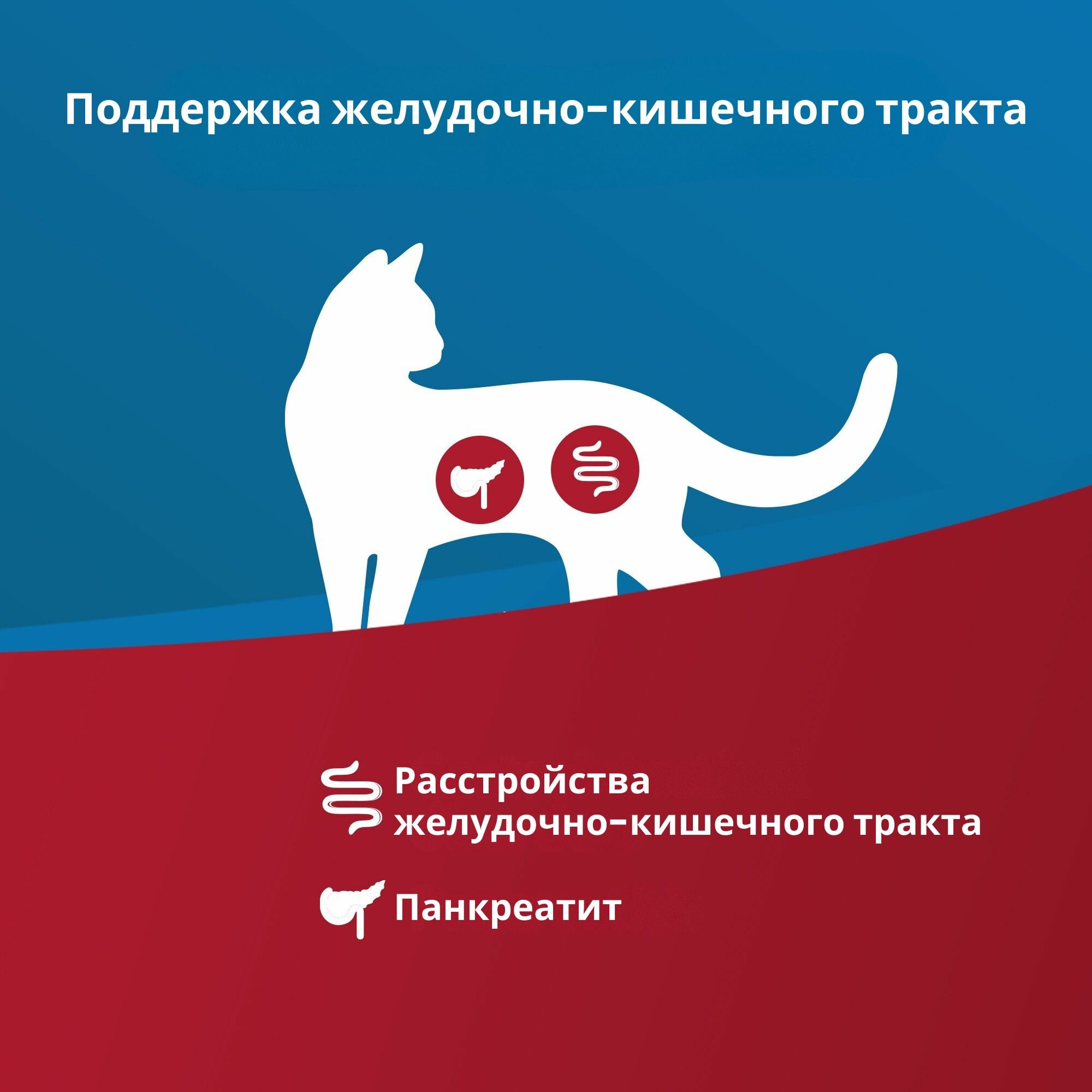 Сухой диетический корм для кошек Farmina Vet Life GastroIntestinal с нарушениями процессов переваривания и всасывания в кишечнике, 2 кг — фото 1