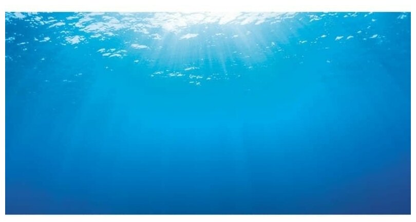 Фон для аквариума Juwel XL "Водная гладь" 150х60см - фотография № 3