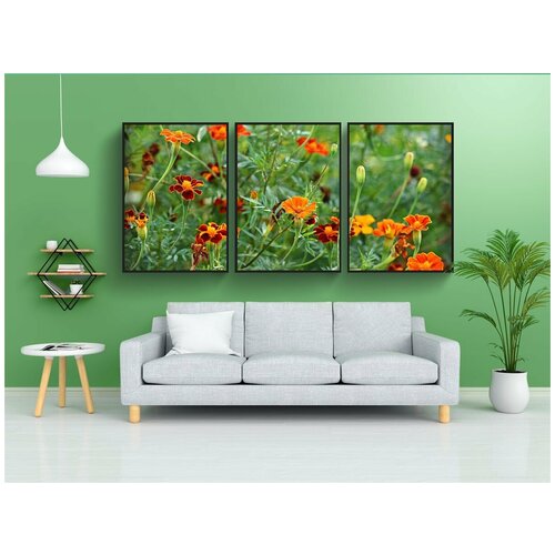 фото Набор модулных постеров для интерьера "ноготки, бархатцы, календулы" 60x90 см. в тубусе, без рамки lotsprints