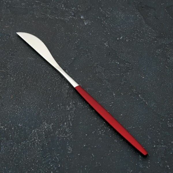 Нож столовый из нержавеющей стали "Блинк", длина 22 см, на подвесе, цвет серебряный, красная ручка