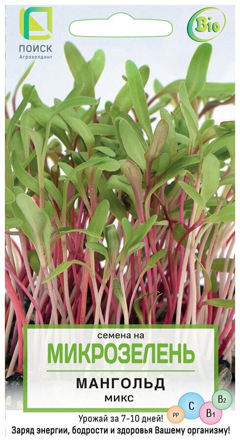 Микрозелень Мангольд Микс 5г. (Поиск)