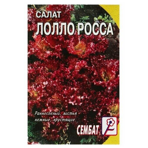 Семена Салат Лолло-росса, 0,5 г 22 упаковки семена салат лолло росса лист 0 5 гр урожай удачи