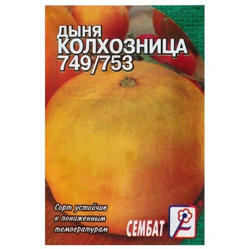 Семена Дыня Колхозница 749/753, 0,5 г 10 упаковок семена дыня колхозница вес 2 г