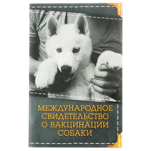 Международное свид-во "О вакцинации собаки", 10,3 х 15,1 см