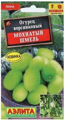 Семена Цветов Огурец "Мохнатый шмель", 10 шт