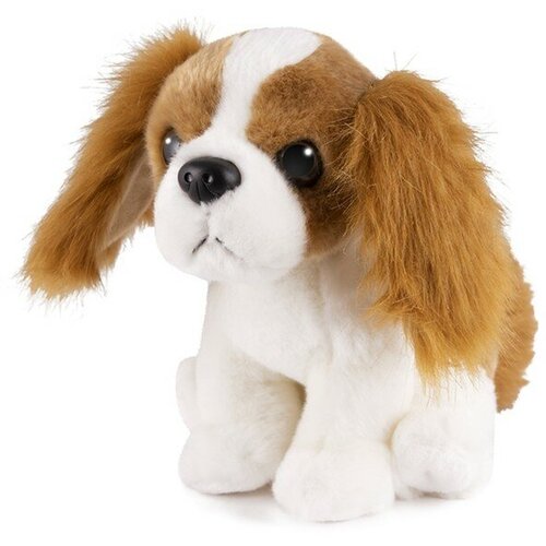 Мягкая игрушка «Собака Кинг Чарльз спаниель», 20 см