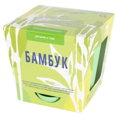 фото Набор для выращивания тысяча листьев бамбук
