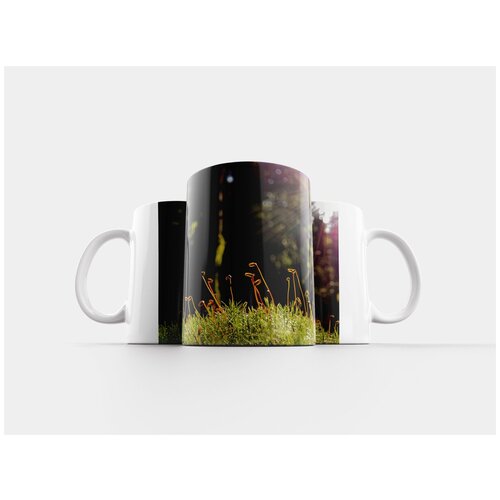 фото Кружка "мох, солнце, лес" 320 мл lotsprints