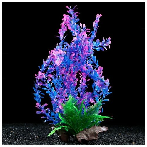 Растение искусственное аквариумное на платформе в виде коряги, 40 см, сине-розовое, 1 шт.