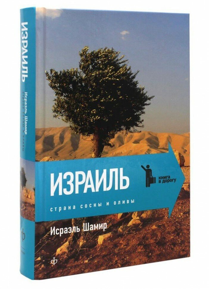 Страна сосны и оливы, или Неприметные прелести Святой земли - фото №3