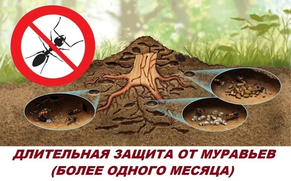 Средство для борьбы с муравьями Зеленая Аптека Садовода Гром-2 180г - фото №7