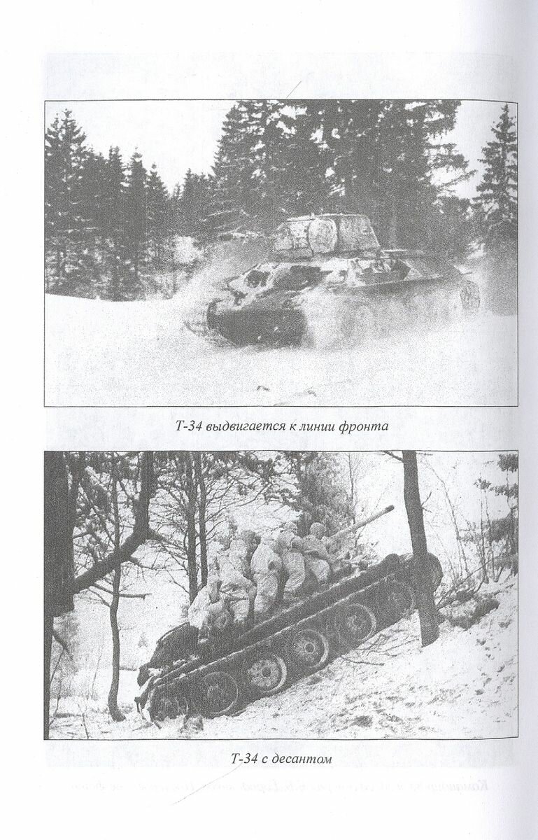 Бои за Стрежневский плацдарм. Роковая ошибка генерала Попова - фото №4