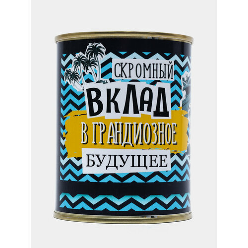 Копилка для денег, монет и купюр