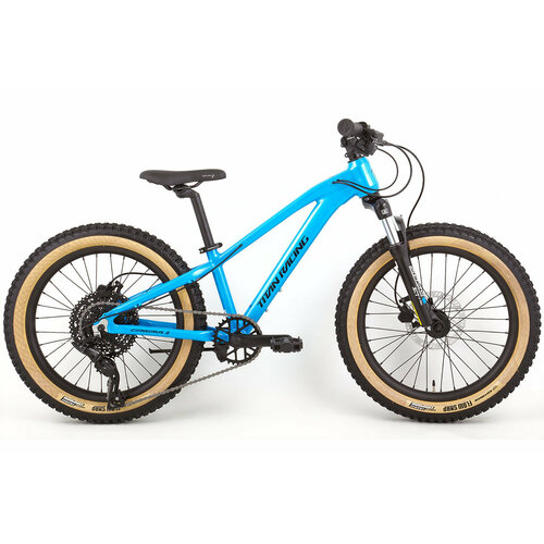 Велосипед Titan Racing Cerberus JR 20 2024 Cobalt Blue 5240300₽