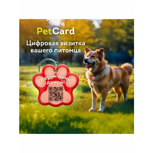 Адресник для собак и кошек PetCard с QR кодом и NFC, красный