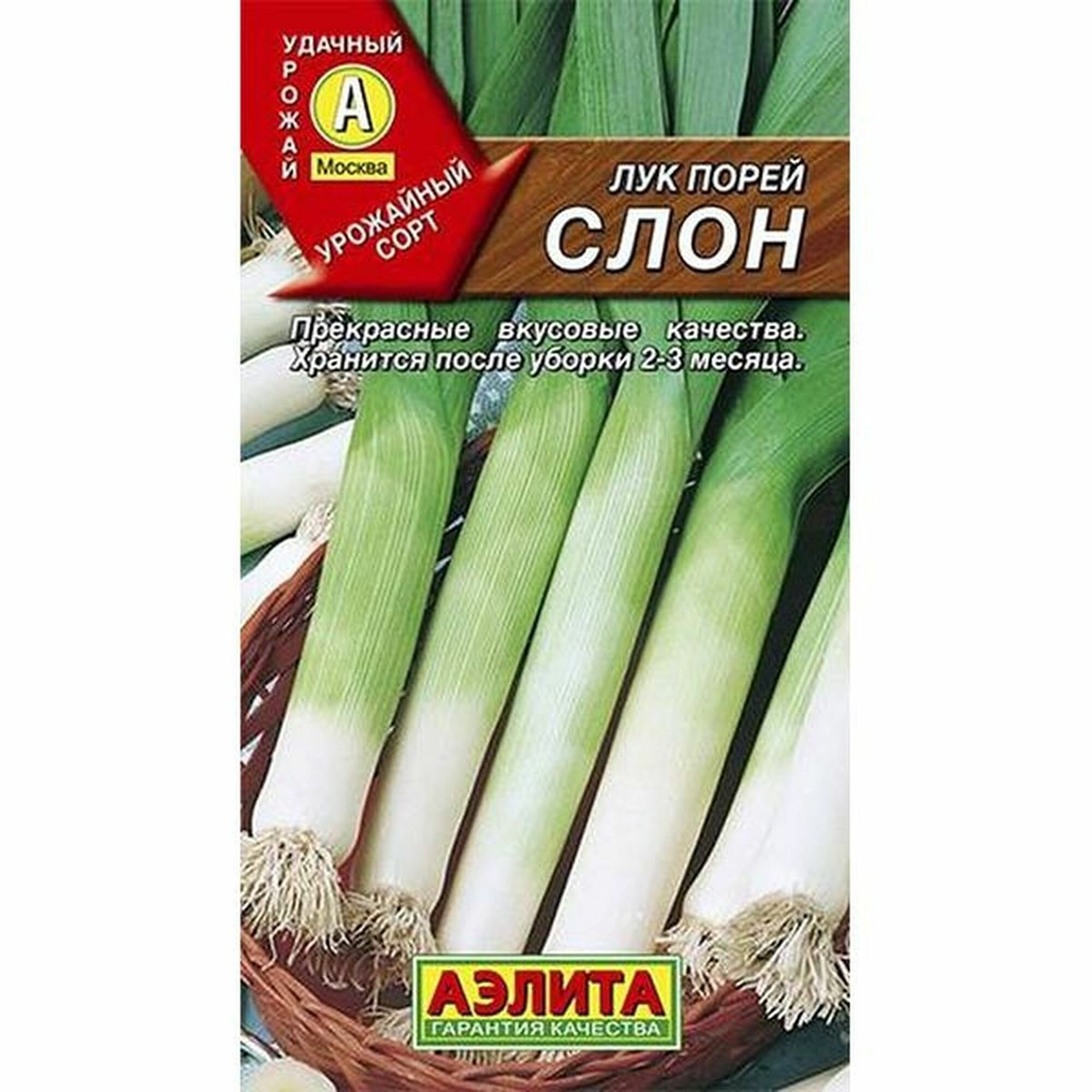Семена Лук порей Слон двулетник Аэлита 1 пачка - 1г семян