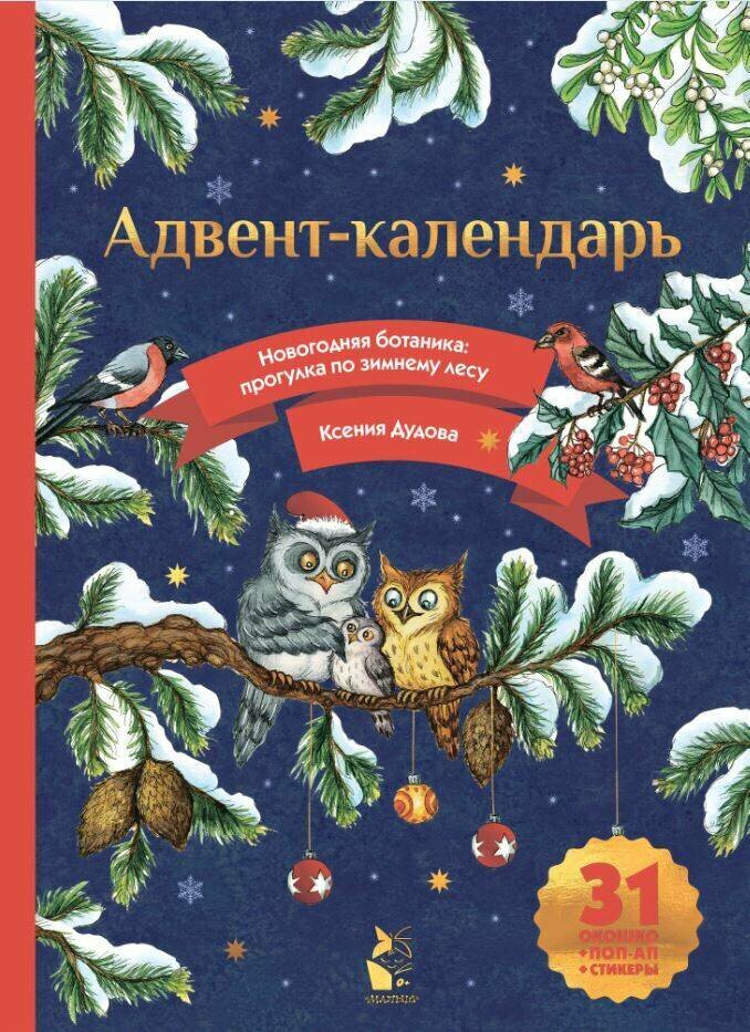 Адвент-календарь. Новогодняя ботаника: прогулка по зимнему лесу Дудова К. В.
