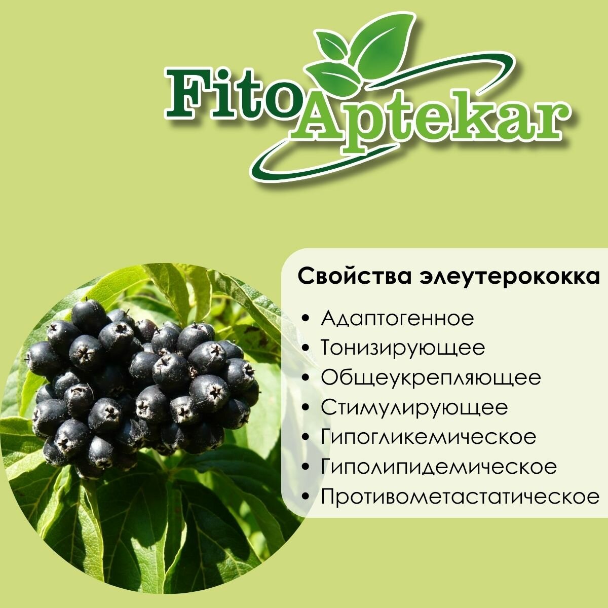 Изображение Настойка элеутерококка "Фито-Аптекарь" - тонизирующее средство, классический адаптоген, 250мл