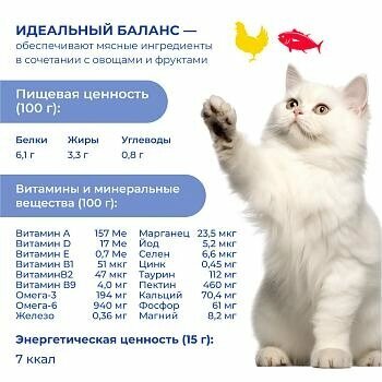 Jarvi крем-суп с мясом курицы и филе тунца для кошек и котят - 15 г — фото 1