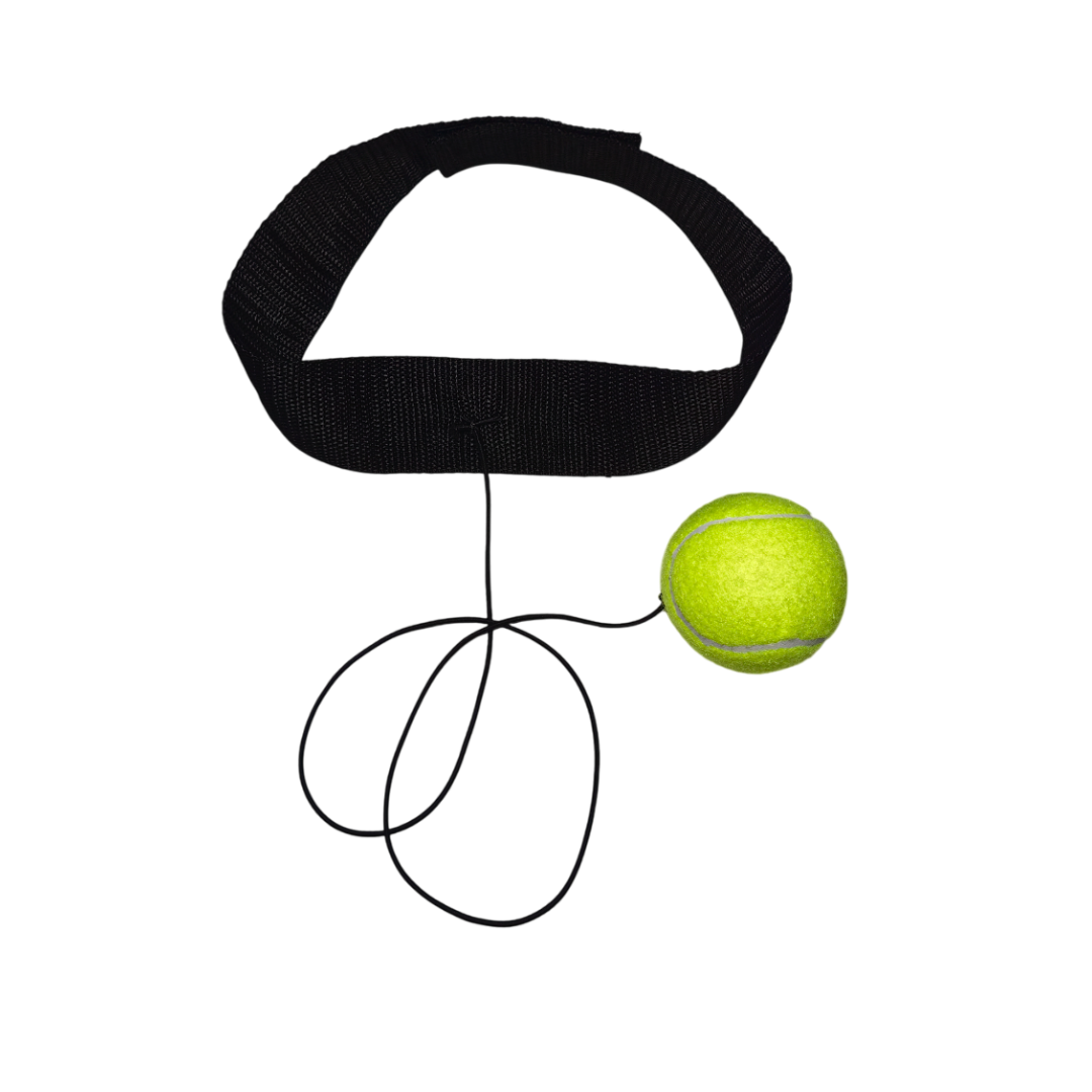 Мяч для бокса / Боевой мяч / Файтбол — фото 1