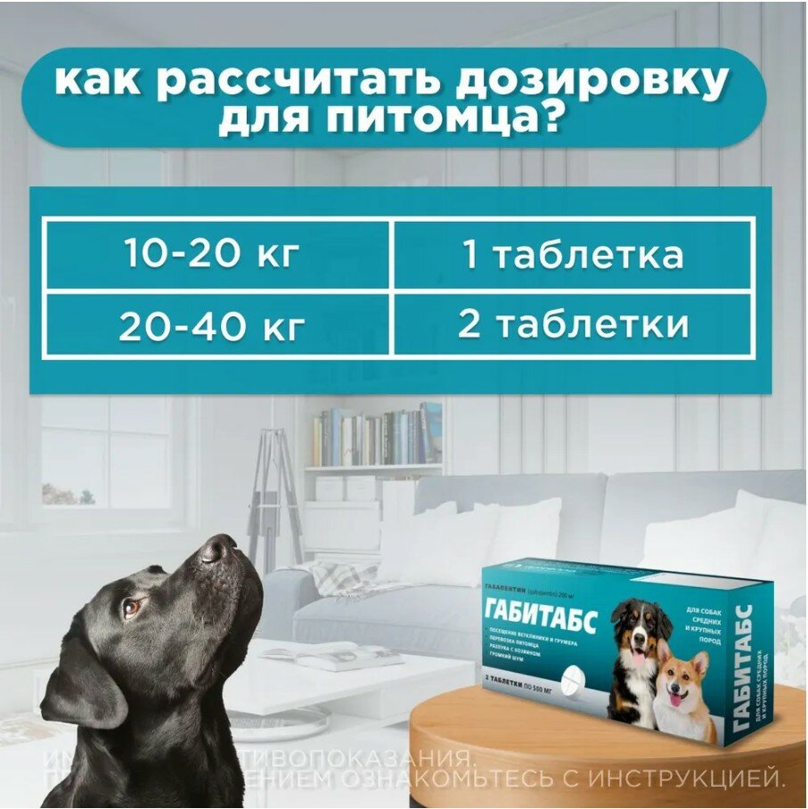 Таблетки Apicenna "Габитабс", для средних и крупных пород собак, 200мг,10 штук — фото 1